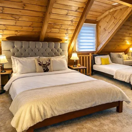 Apartment Albert Authentic Suites Brasov - Old Town *